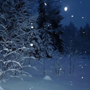 A snowy scene at night