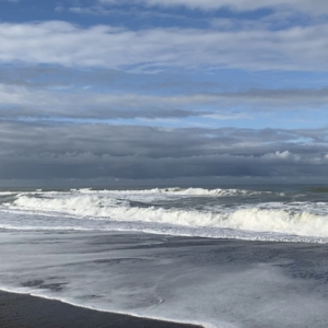 Martin Gerup Interactions - Sæd