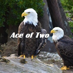 Ace of Two
